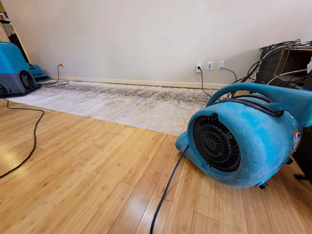 Professional Ceiling Water Damage Repair technician working in Holcomb, KS